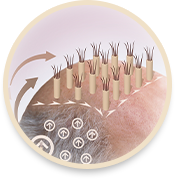 quy trình chuẩn y khoa