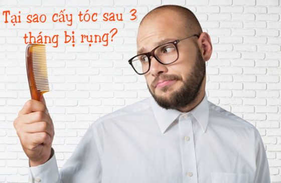 tai sao cay toc sau 3 thang bi rung