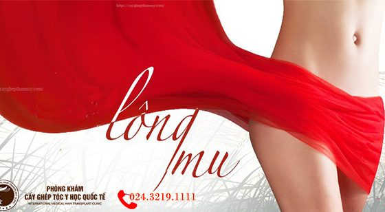 tác dụng của lông vùng kín