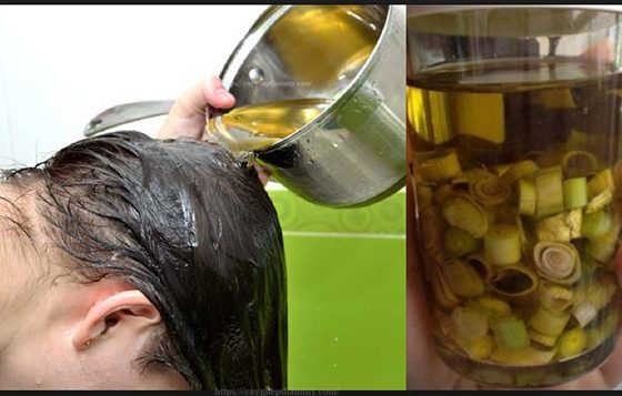 cách gội đầu bằng lá sả điều trị rụng tóc