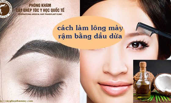 cách làm lông mày rậm bằng dầu dừa
