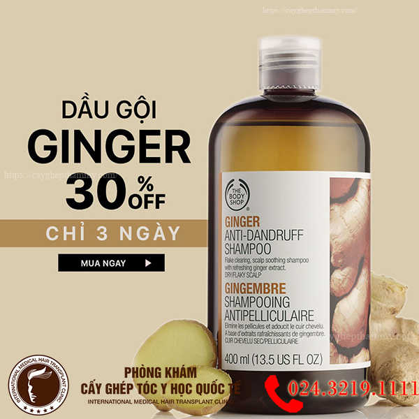 review dầu gội trị gàu ginger scalp care shampoo