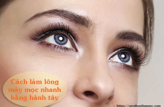 cách làm lông mày mọc nhanh băng hành tây