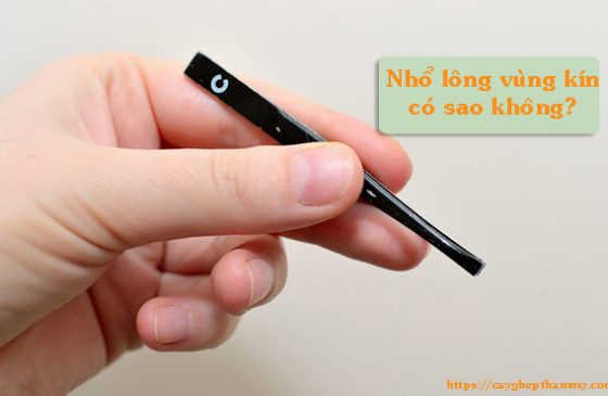 nhổ lông vùng kín có sao không
