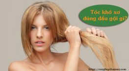 tóc khô xơ dùng dầu gội gì