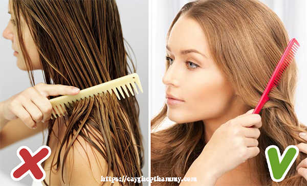 Khi tóc bạn còn ướt, hãy chải tóc một cách nhẹ nhàng để tránh gãy tóc và đảm bảo sức khỏe cho mái tóc của mình. Hãy cùng xem hình ảnh để hiểu rõ hơn và thực hiện chải tóc đúng cách nhé!