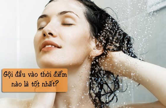 gội đầu vào thời gian nào là tốt nhất