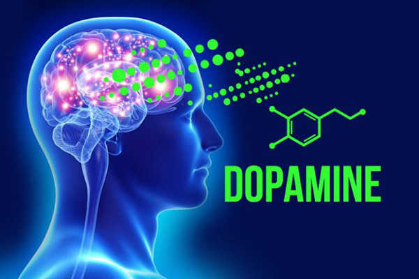 Dopamine là gì
