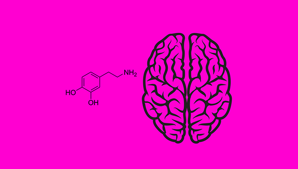 Dopamine là gì