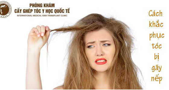 cách khắc phục tóc bị gãy nếp