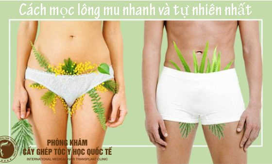 cách mọc lông mu tại nhà