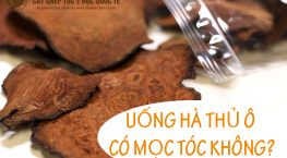 Uống hà thủ ô có mọc tóc không