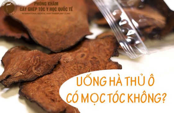 Uống hà thủ ô có mọc tóc không
