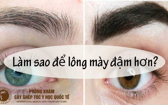 làm sao để lông mày đậm hơn