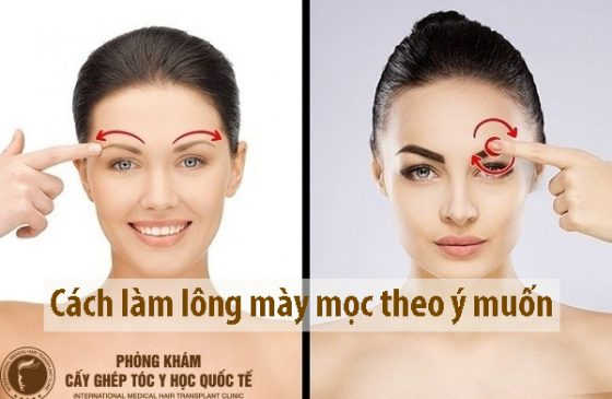 cách làm lông mày mọc theo ý muốn
