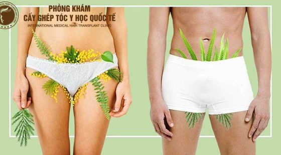 cách làm lông mu mọc nhiều hơn