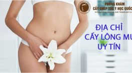 địc chỉ cấy lông mu