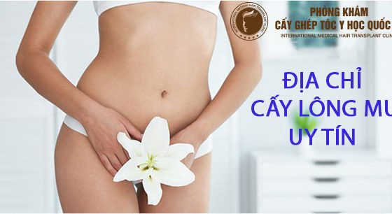 địc chỉ cấy lông mu