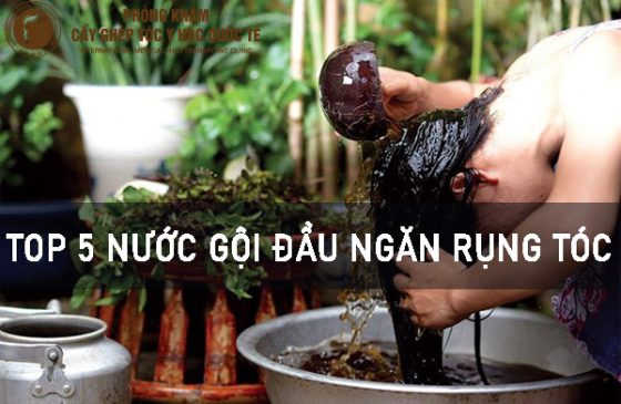 nước gội đầu ngăn rụng tóc
