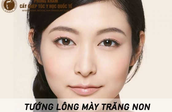 lông mày trăng non
