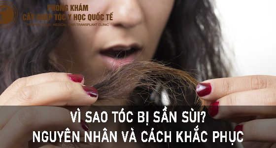 vì sao tóc bị sần sùi