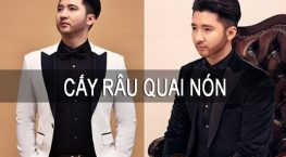 cấy râu quai nón