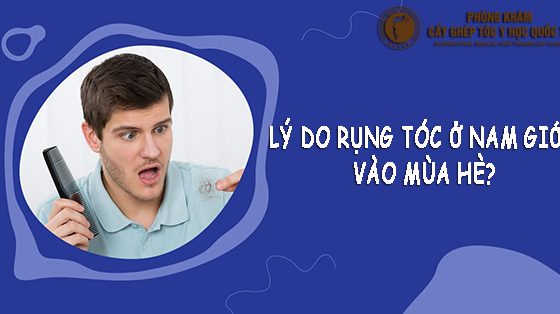 lý do nam giới rụng tóc vào mùa hè