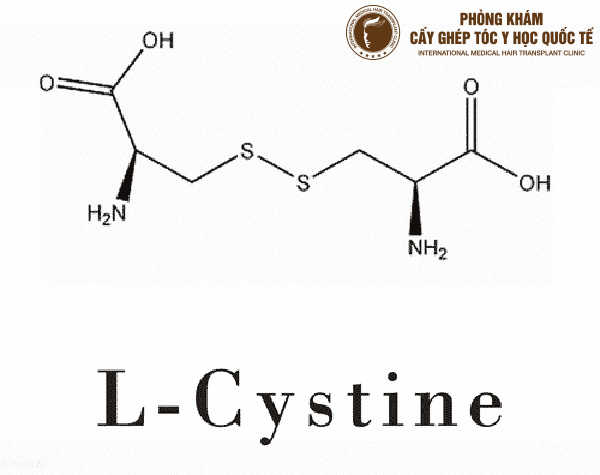 L-cystine trị rụng tóc