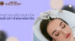 nuôi cấy tế bào mầm tóc
