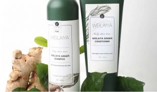 Review dầu gội gừng Weilaiya có tốt không? Giá bao nhiêu? Mua ở đâu chính hãng