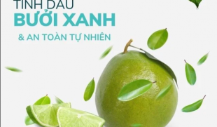 Xịt tinh dầu bưởi xanh có mọc tóc không? Top 5 xịt tinh dầu bưởi tốt nhất hiện nay