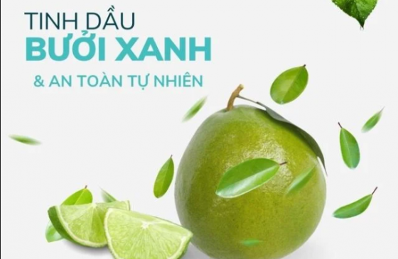 xịt tinh dầu bưởi xanh