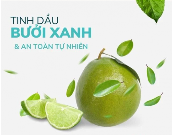 xịt tinh dầu bưởi xanh