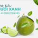 xịt tinh dầu bưởi xanh