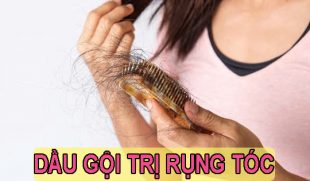 TOP 5 dầu gội trị rụng tóc và phục hồi tóc hiệu quả nhất