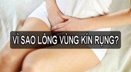 Vì sao lông mu rụng nhiều? Những nguyên nhân không ngờ bạn cần biết