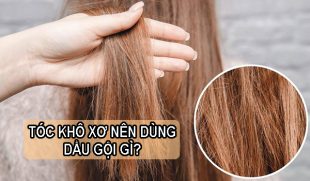 Tóc khô xơ dùng dầu gội gì? Điểm danh 5 loại sản phẩm phục hồi tốt nhất