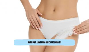 Khám Phá: Lông Vùng Kín Có Tác Dụng Gì?