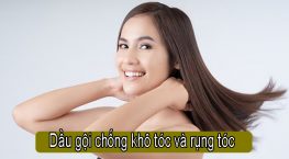 Top 5 loại dầu gội chống khô tóc và rụng tóc được yêu thích nhất hiện nay