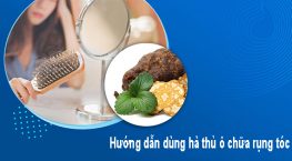 Hướng dẫn dùng hà thủ ô chữa rụng tóc an toàn tại nhà