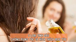 5 Loại tinh dầu chống rụng tóc và kích thích mọc tóc hiệu quả