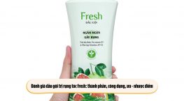 Đánh giá dầu gội trị rụng tóc fresh: thành phần, công dụng, ưu – nhược điểm.