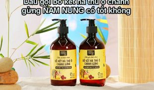 Review thực tế dầu gội bồ kết hà thủ ô chanh gừng Nam Nung có tốt không?