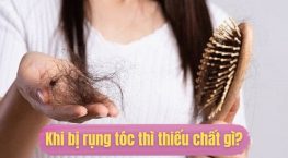 Khi bị rụng tóc thì thiếu chất gì? Giải đáp chi tiết từ chuyên gia về tóc