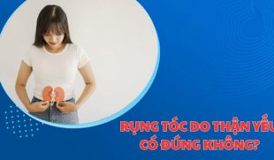 Rụng tóc do thận yếu có đúng không? Cách khắc phục như thế nào?