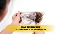 Phải làm gì khi vào mùa tóc rụng? Cách ứng phó giúp mái tóc khỏe đẹp tràn đầy sức sống