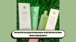 Giải mã độ hot của cặp gội xả chống rụng tóc và kích thích mọc tóc Hasuo: Review & đánh giá thực tế