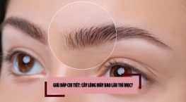 Giải đáp chi tiết: Cấy lông mày bao lâu thì mọc?