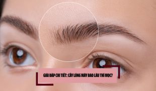 Giải đáp chi tiết: Cấy lông mày bao lâu thì mọc?