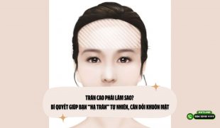 Trán cao phải làm sao? Bí quyết giúp bạn “hạ trán” tự nhiên, cân đối khuôn mặt